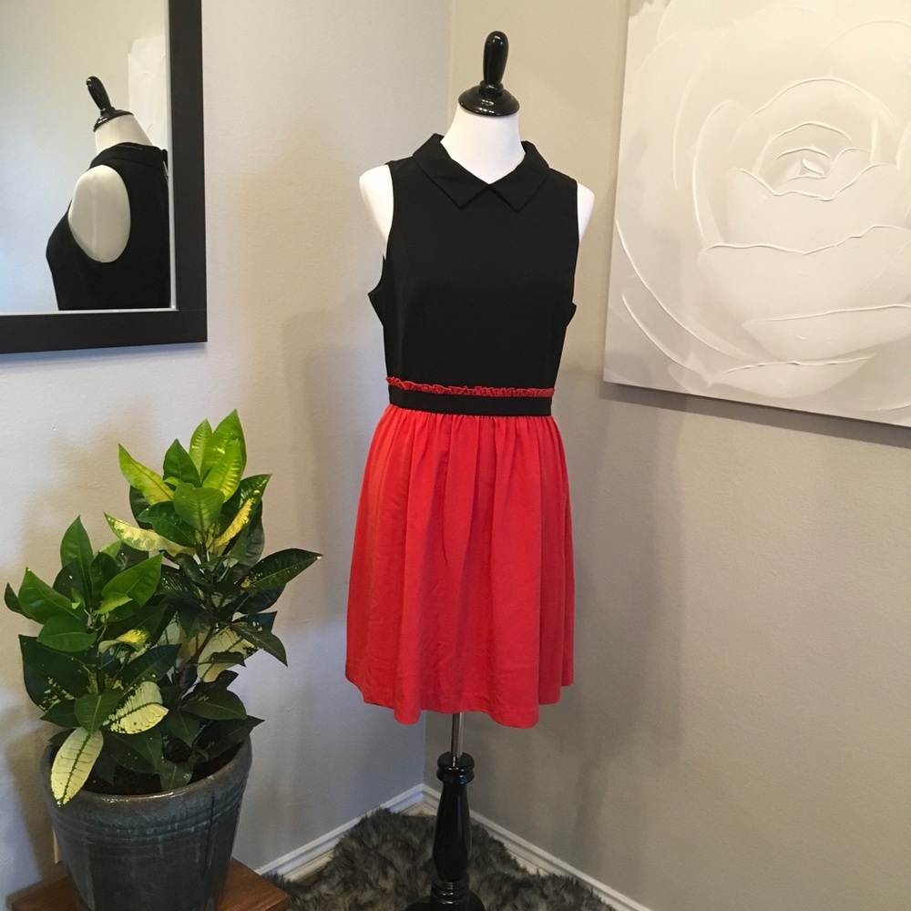 Collared Fitted Kensie Dress